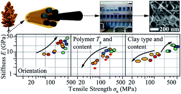 Graphical abstract: Cellulose nanofibril nanopapers and bioinspired nanocomposites: a review to understand the mechanical property space