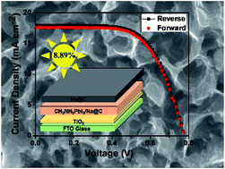 Graphical abstract: Highly conductive Na-embedded carbon nanowalls for hole-transport-material-free perovskite solar cells without metal electrodes