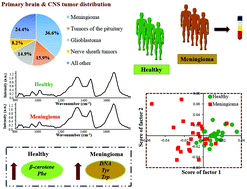 Graphical abstract: An early investigative serum Raman spectroscopy study of meningioma