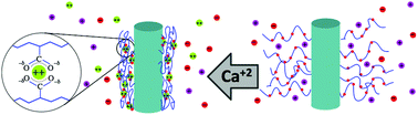 Graphical abstract: The interplay of nanointerface curvature and calcium binding in weak polyelectrolyte-coated nanoparticles