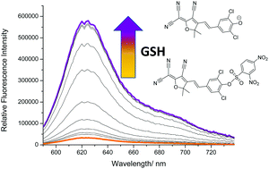 Graphical abstract: Long-wavelength TCF-based fluorescence probes for the detection and intracellular imaging of biological thiols