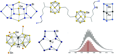 Graphical abstract: Recent developments in Zintl cluster chemistry