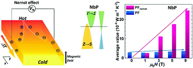 Graphical abstract: Large Nernst power factor over a broad temperature range in polycrystalline Weyl semimetal NbP