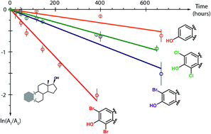 Graphical abstract: Photochemical degradation of halogenated estrogens under natural solar irradiance