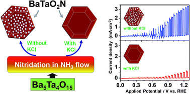 Graphical abstract: Distinguishing the effects of altered morphology and size on the visible light-induced water oxidation activity and photoelectrochemical performance of BaTaO2N crystal structures