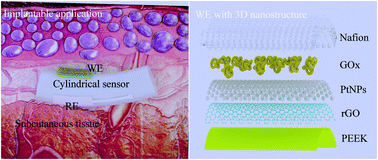 Graphical abstract: A flexible enzyme-electrode sensor with cylindrical working electrode modified with a 3D nanostructure for implantable continuous glucose monitoring