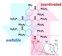 Graphical abstract: Aminobisphosphonates based on cyclohexane backbone as coordinating agents for metal ions. Thermodynamic, spectroscopic and biological studies