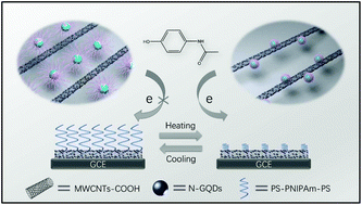 Graphical abstract: Stimuli-enabled switch-like paracetamol electrochemical sensor based on thermosensitive polymer and MWCNTs-GQDs composite nanomaterial