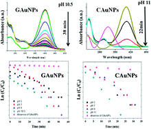 Graphical abstract: Size controlled green synthesis of gold nanoparticles using Coffea arabica seed extract and their catalytic performance in 4-nitrophenol reduction