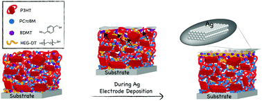 Graphical abstract: Correlating the effective work function at buried organic/metal interfaces with organic solar cell characteristics