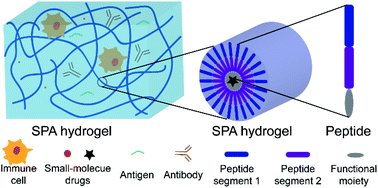 Graphical abstract: Recent progress in supramolecular peptide assemblies as virus mimics for cancer immunotherapy