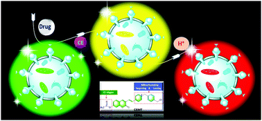 Graphical abstract: Ratiometric two-photon fluorescent probe for in situ imaging of carboxylesterase (CE)-mediated mitochondrial acidification during medication