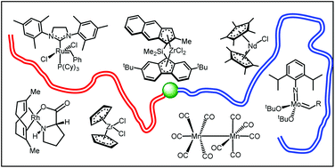 Graphical abstract: End-functional polyolefins for block copolymer synthesis