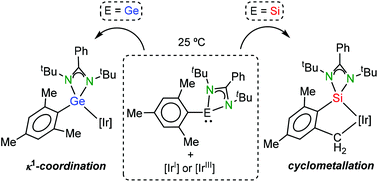 Graphical abstract: Mesityl(amidinato)tetrylenes as ligands in iridium(i) and iridium(iii) complexes: silicon versus germanium and simple κ1-coordination versus cyclometallation