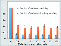 Graphical abstract: Emerging investigator series: transformation of common antibiotics during water disinfection with chlorine and formation of antibacterially active products