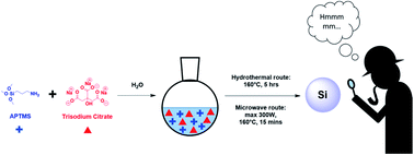 Graphical abstract: Shedding light on the aqueous synthesis of silicon nanoparticles by reduction of silanes with citrates