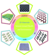 Graphical abstract: Recent advances in two-dimensional-material-based sensing technology toward health and environmental monitoring applications