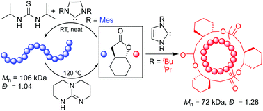 Graphical abstract: Selective or living organopolymerization of a six-five bicyclic lactone to produce fully recyclable polyesters