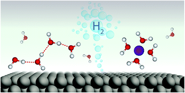 Graphical abstract: The hydrogen evolution reaction: from material to interfacial descriptors