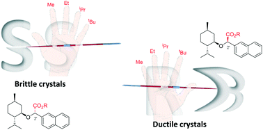 Graphical abstract: Epimers with distinct mechanical behaviours