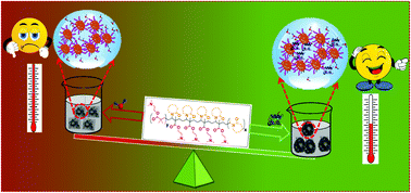 Graphical abstract: Insulin-induced conformational transition of fluorescent copolymers: a perspective of self-assembly between protein and micellar solutions of smart copolymers