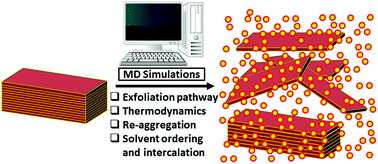 Graphical abstract: Disentangling the liquid phase exfoliation of two-dimensional materials: an “in silico” perspective