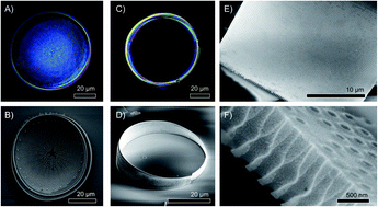 Graphical abstract: Biosilica slab photonic crystals as an alternative to cleanroom nanofabrication?