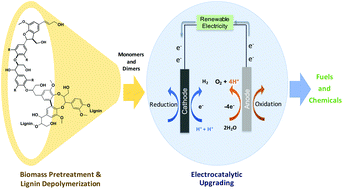 Graphical abstract: Electrochemical upgrading of depolymerized lignin: a review of model compound studies