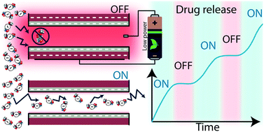 Graphical abstract: Electrostatically gated nanofluidic membrane for ultra-low power controlled drug delivery