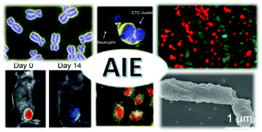 Graphical abstract: Materials with aggregation-induced emission characteristics for applications in diagnosis, theragnosis, disease mechanism study and personalized medicine