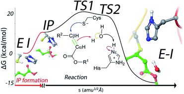 Graphical abstract: A microscopic description of SARS-CoV-2 main protease inhibition with Michael acceptors. Strategies for improving inhibitor design