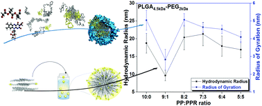 Graphical abstract: An insight into the role of riboflavin ligand in the self-assembly of poly(lactic-co-glycolic acid)-based nanoparticles – a molecular simulation and experimental approach