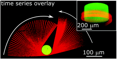 Graphical abstract: Electrostatic wrapping of a microfiber around a curved particle