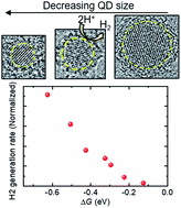 Graphical abstract: Visible-light driven photocatalytic hydrogen generation by water-soluble all-inorganic core–shell silicon quantum dots