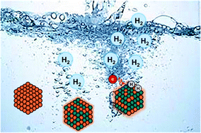 Graphical abstract: Computational design of (100) alloy surfaces for the hydrogen evolution reaction