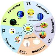 Graphical abstract: Synthesis and modification of carbon dots for advanced biosensing application