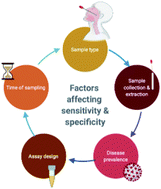 Graphical abstract: Molecular diagnostics in the era of COVID-19