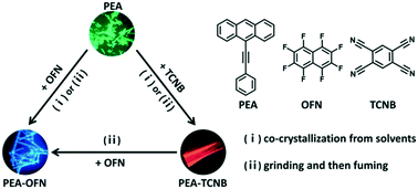 Graphical abstract: Supramolecular complex strategy for pure organic multi-color luminescent materials and stimuli-responsive luminescence switching