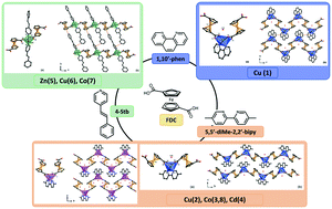 Graphical abstract: Self-assembly and supramolecular isomerism in 1D metal–organometallic networks based on transition-metal assemblies from 1,1′-ferrocene-dicarboxylic acid and ancillary nitrogen heterocycle ligands