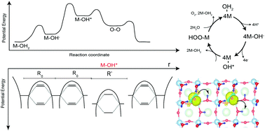 Graphical abstract: The electron-transfer intermediates of the oxygen evolution reaction (OER) as polarons by in situ spectroscopy