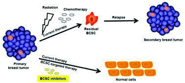 Graphical abstract: Metal complexes against breast cancer stem cells