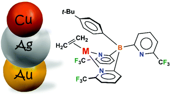 Graphical abstract: Fluorinated tris(pyridyl)borate ligand support on coinage metals