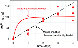 Graphical abstract: Incorporating concentration-dependent sediment microbial activity into methylmercury production kinetics modeling