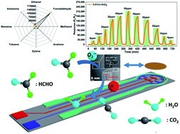 Graphical abstract: Formaldehyde gas sensor with extremely high response employing cobalt-doped SnO2 ultrafine nanoparticles