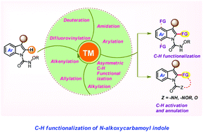Graphical abstract: The C–H functionalization of N-alkoxycarbamoyl indoles by transition metal catalysis