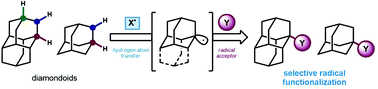 Graphical abstract: Direct radical functionalization methods to access substituted adamantanes and diamondoids