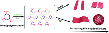 Graphical abstract: Morphology control on fluorescent metallacycle-cored supramolecular polymers