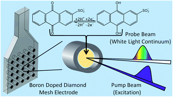 Graphical abstract: Ultrafast transient absorption spectroelectrochemistry: femtosecond to nanosecond excited-state relaxation dynamics of the individual components of an anthraquinone redox couple