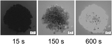 Graphical abstract: Sulfobetaine polymers for effective permeability into multicellular tumor spheroids (MCTSs)