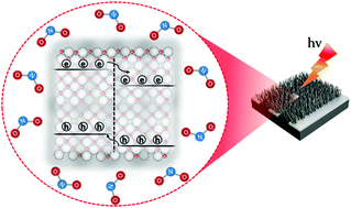 Graphical abstract: Photoactivated materials and sensors for NO2 monitoring